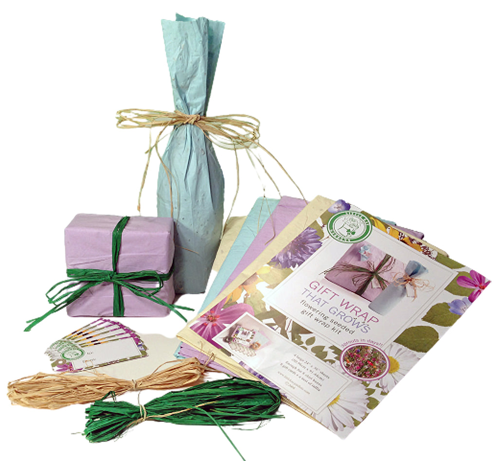 flower seed wrapping paper Earth-Friendly Gift Wrap Wrapping Paper – EnrootProducts