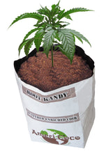 Root Kandy - Buffered Enriched Professional Grade Coir Block in 3 Gallon Grow Bag
