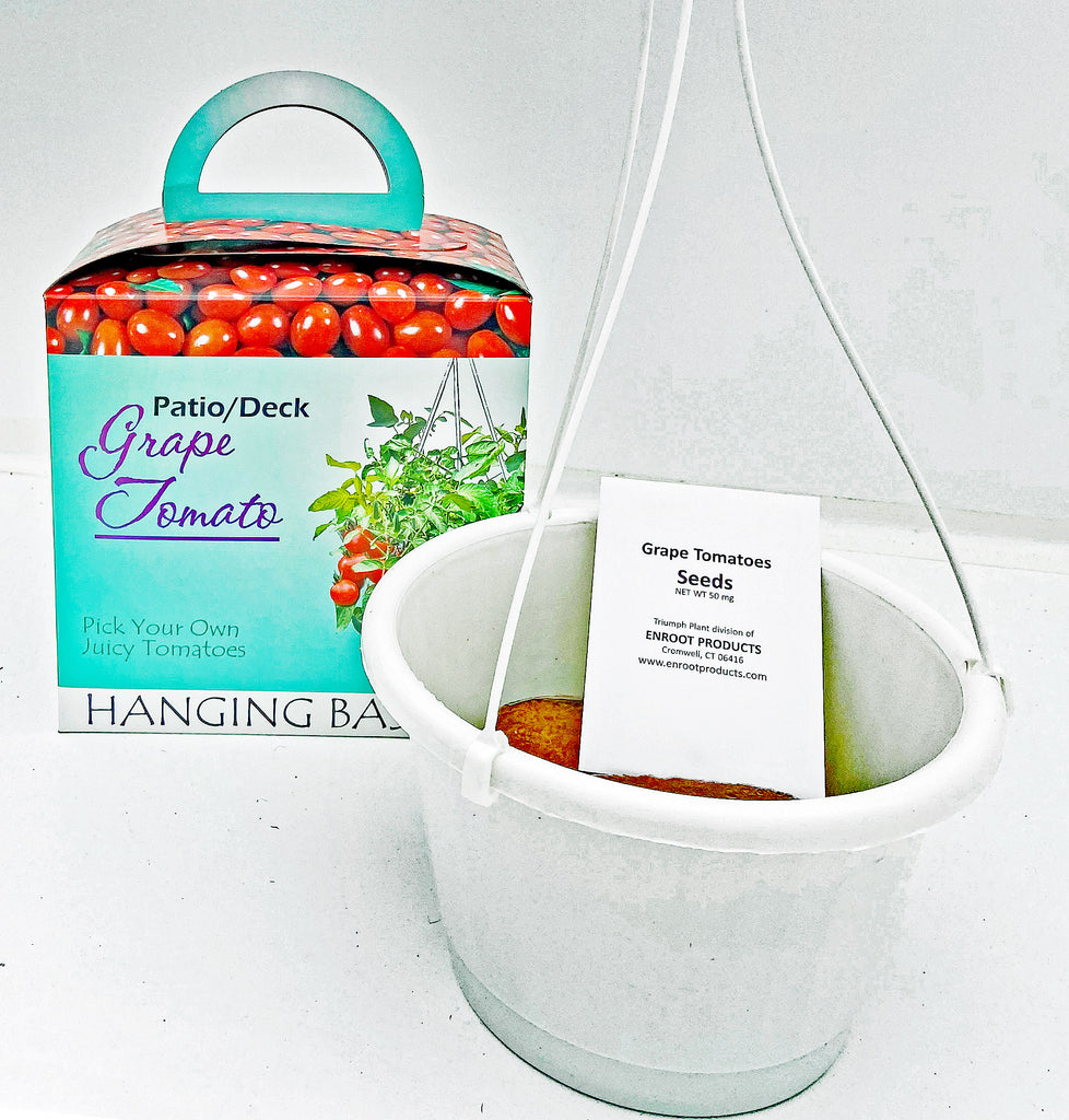 Grape Tomato Patio & Deck Hanging Basket Grape Tomato Kit
