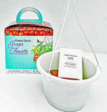 Grape Tomato - Patio & Deck Hanging Basket Grape Tomato Kit