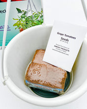 Grape Tomato - Patio & Deck Hanging Basket Grape Tomato Kit