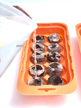 Pumpkin Seed Starter Kit