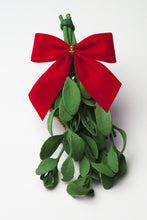 ONE Real Mistletoe Preserved Longer Lasting
