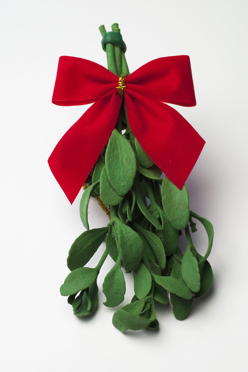 2PACK - Real Mistletoe Preserved Longer Lasting - FREE SHIPPING