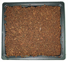 Spongease MicroGreens Grow Kit