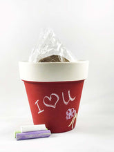The Perfect Valentine! Crayola Chalk Pot Seed Kits