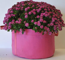 3 Gallon (MORE COLORS AVAILABLE) - 5 Pack Garden Planting Aeration Fabric Pot, Heavy Duty Durable Grow Bags / Planter, Raised Bed Gardening, Best Air-Pruning Root Treatment Eco-Friendly Grow Bags with Handles