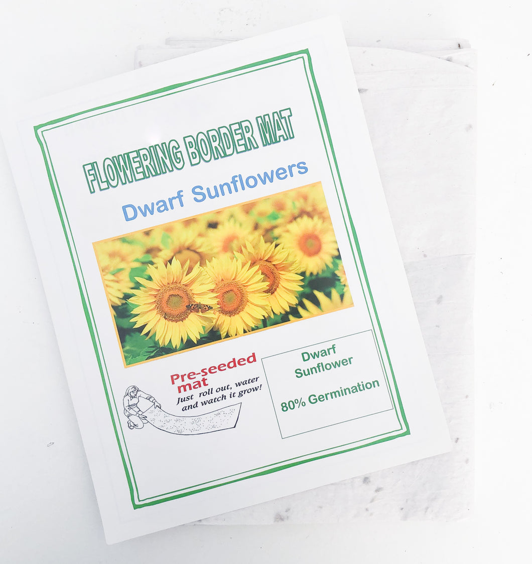 Recycled Gift Wrap Tissue Paper That Grows