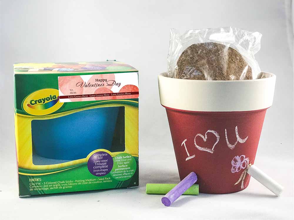 The Perfect Valentine! Crayola Chalk Pot Seed Kits