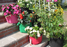 3 Gallon (MORE COLORS AVAILABLE) - 5 Pack Garden Planting Aeration Fabric Pot, Heavy Duty Durable Grow Bags / Planter, Raised Bed Gardening, Best Air-Pruning Root Treatment Eco-Friendly Grow Bags with Handles