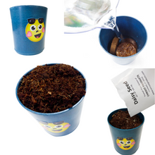 6 Pack - Kid Friendly Crayon Pot Activity - Grow Flowers