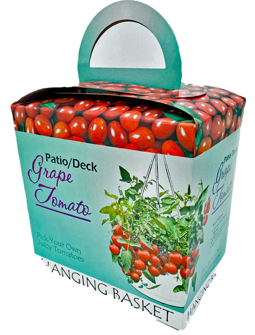 Grape Tomato - Patio & Deck Hanging Basket Grape Tomato Kit