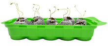 Garden Starter Kit - DIY Seedling Starter for Tomatoes, Peppers, Cucumber Planting