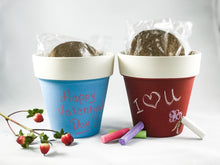 The Perfect Valentine! Crayola Chalk Pot Seed Kits
