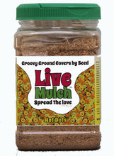 Hot Dots Live Mulch, the perfect way to add a flower bed or border